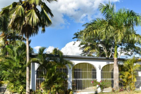 Casa Tropical - Boca Chica